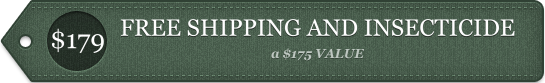 Free Shipping
